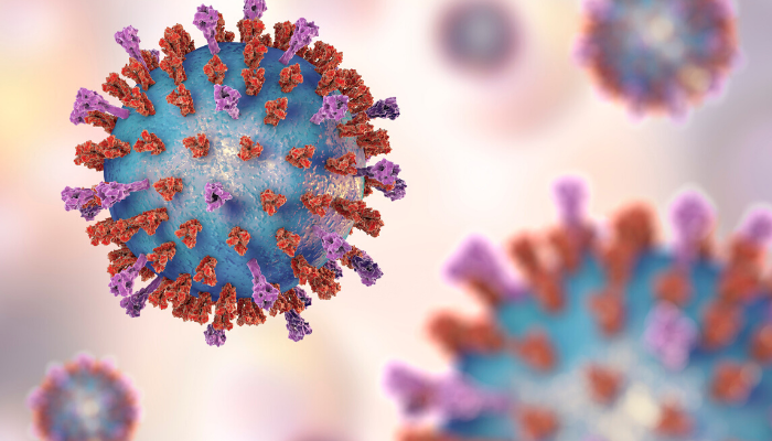 up close image of a virus